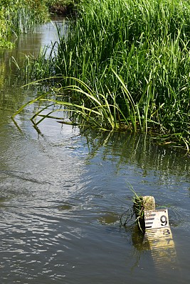 河的深度图片下载