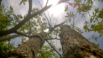 不同的角度图片下载