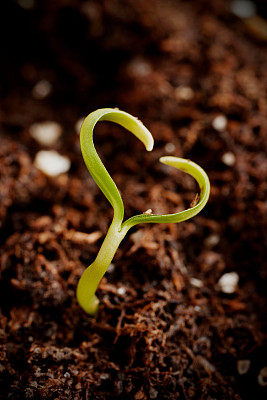 爱从大自然图片下载