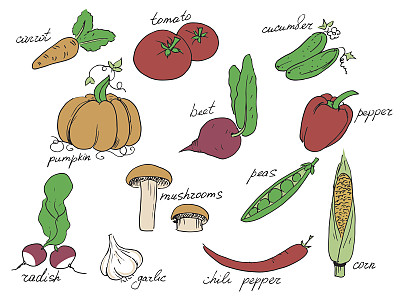 的蔬菜图片下载