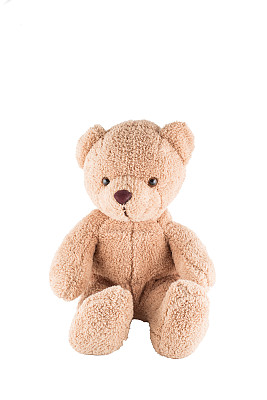 白底熊图片下载