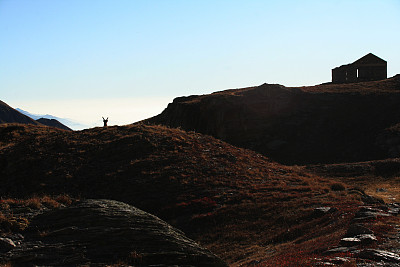 有趣的麂皮图片下载