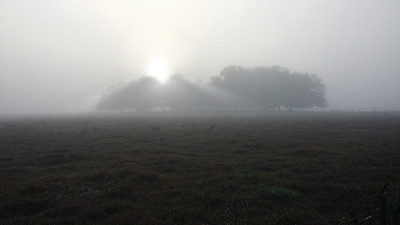 雾蒙蒙的日出图片下载