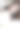 年轻漂亮的女人和泰迪熊的肖像图片下载