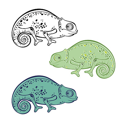 集变色龙孤立在白色背景。图片下载