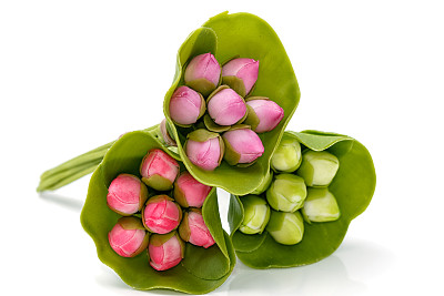 各种微型粘土荷花在白色的背景图片下载