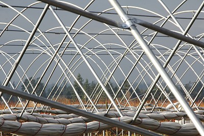 温室肋或杆图片下载