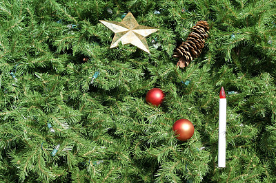 圣诞树的背景图片下载