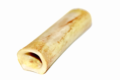 管状骨图片下载