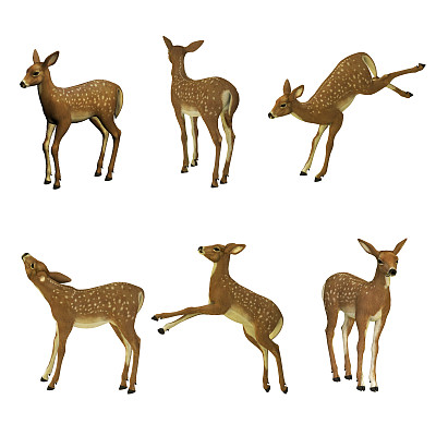 小鹿集图片下载