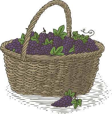 成熟葡萄柳条篮子图片下载