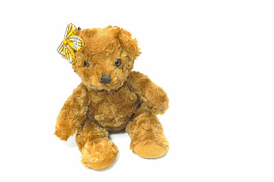 泰迪熊图片下载