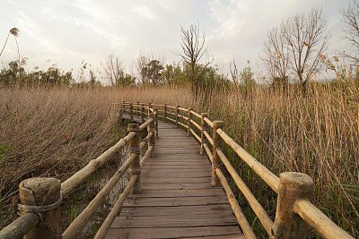 公园景观图片下载
