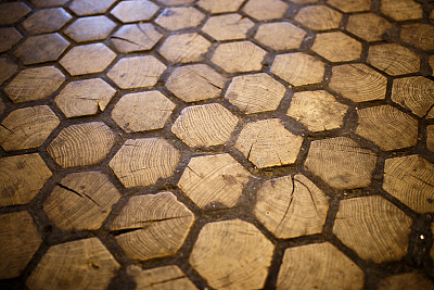 木地板与六角形瓷砖图片下载