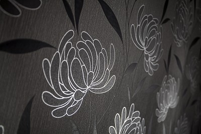 花朵图案的壁纸图片下载