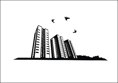 城市里的鸟图片下载