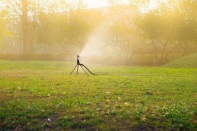 自动洒水器洒水草地与日落时间。图片下载