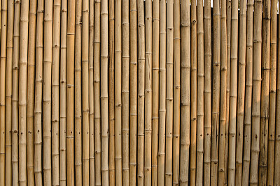 竹篱笆背景图片下载