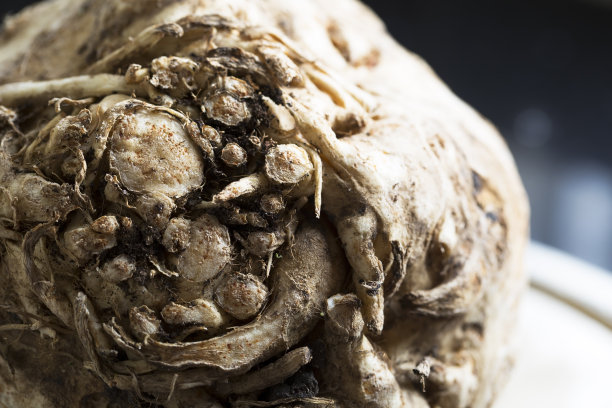 块根芹关闭图片下载