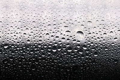 露珠纹理白光背景#2图片下载