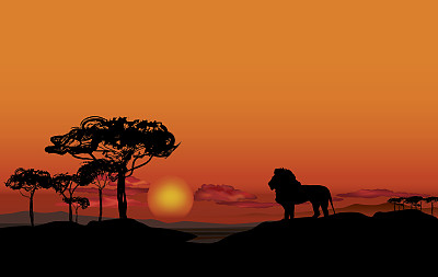 有动物剪影的非洲景观。草原日落背景。图片下载