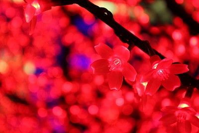 走向Rojos图片下载