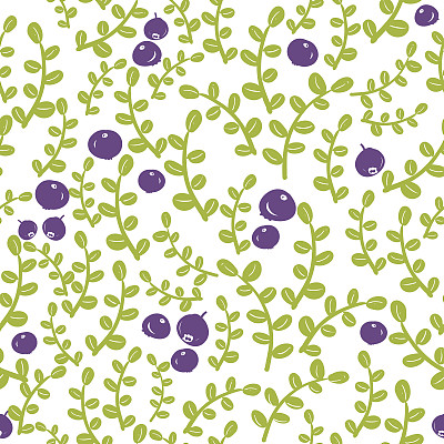 无缝模式与北方浆果。图片下载