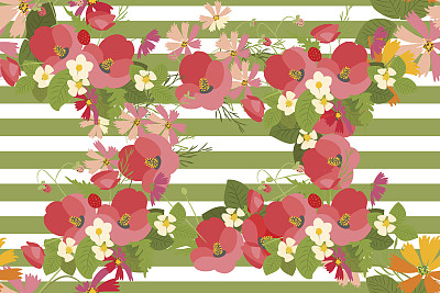 花背景罂粟和宇宙草莓矢量插图图片下载