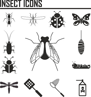 昆虫图标-插图图片下载