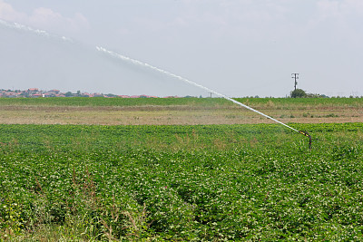 希腊的棉花田图片下载