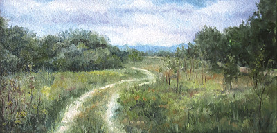 夏天的景观有树木和灌木丛图片下载