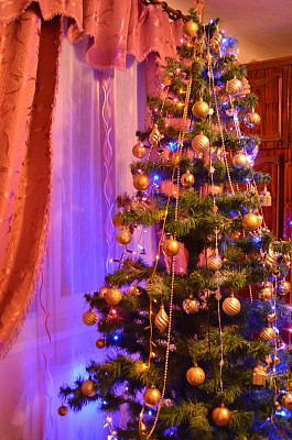 圣诞树图片下载