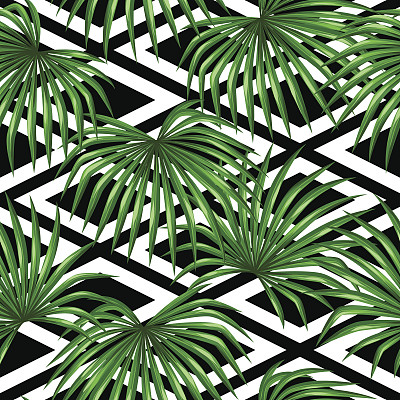 棕榈叶无缝图案。装饰形象的热带树叶图片下载