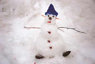 快乐的迷你雪人图片下载