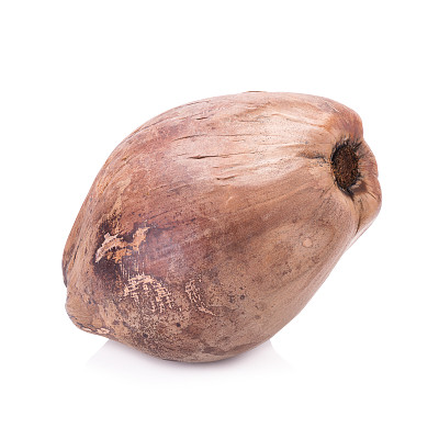 椰子孤立在白色背景图片下载