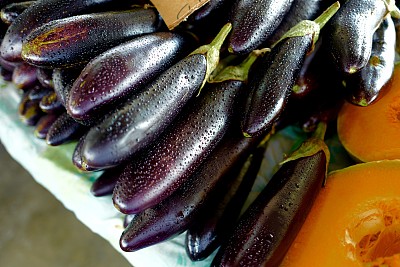 茄子Melongene图片下载