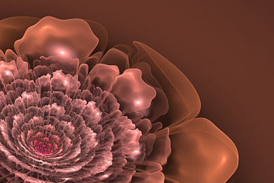 分形的花朵在粉红色的阴影图片下载