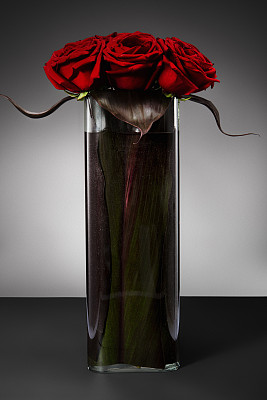 玻璃花瓶里的一束红玫瑰图片下载