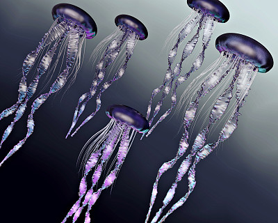水母三维模型图片下载