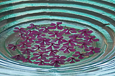 抽象的红色花瓣漂浮在水中图片下载