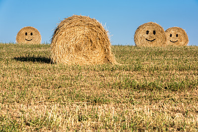 草捆。图片下载