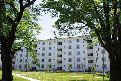 复杂的景观图片下载