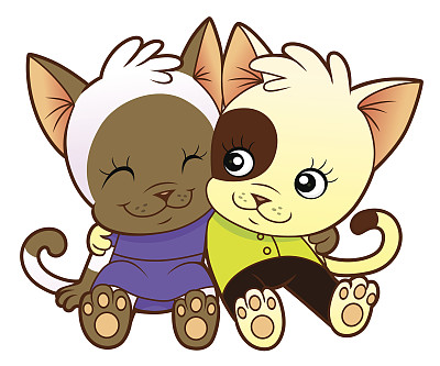 小猫爱图片下载