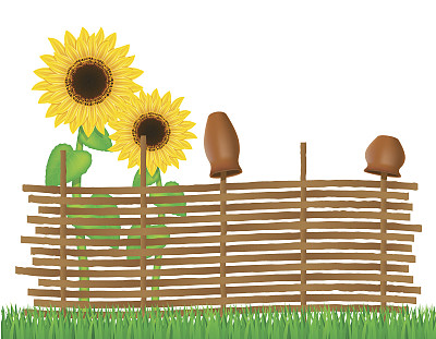 柳条篱笆的小枝与向日葵矢量插图素材图片