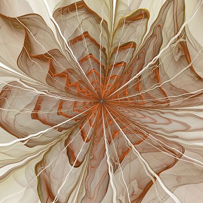 对称的橙色分形花，数字艺术品图片下载