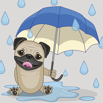 带伞的哈巴狗图片下载
