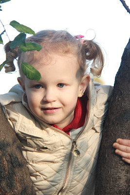 树上的可爱女孩图片下载