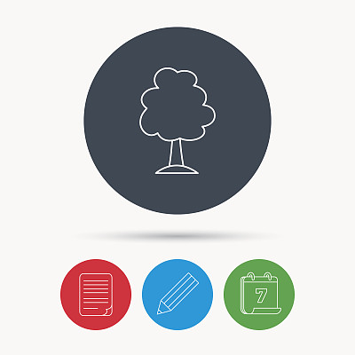 树图标。森林木的迹象。图片下载