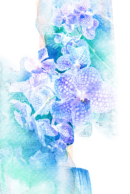 花水彩插图。图片下载