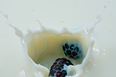 扑鼻的荆棘图片下载